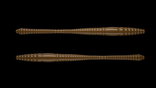 Dying Worm 038 BROWN.jpg